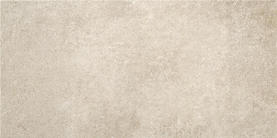 LIENZ GRIS MAT 30X60 I